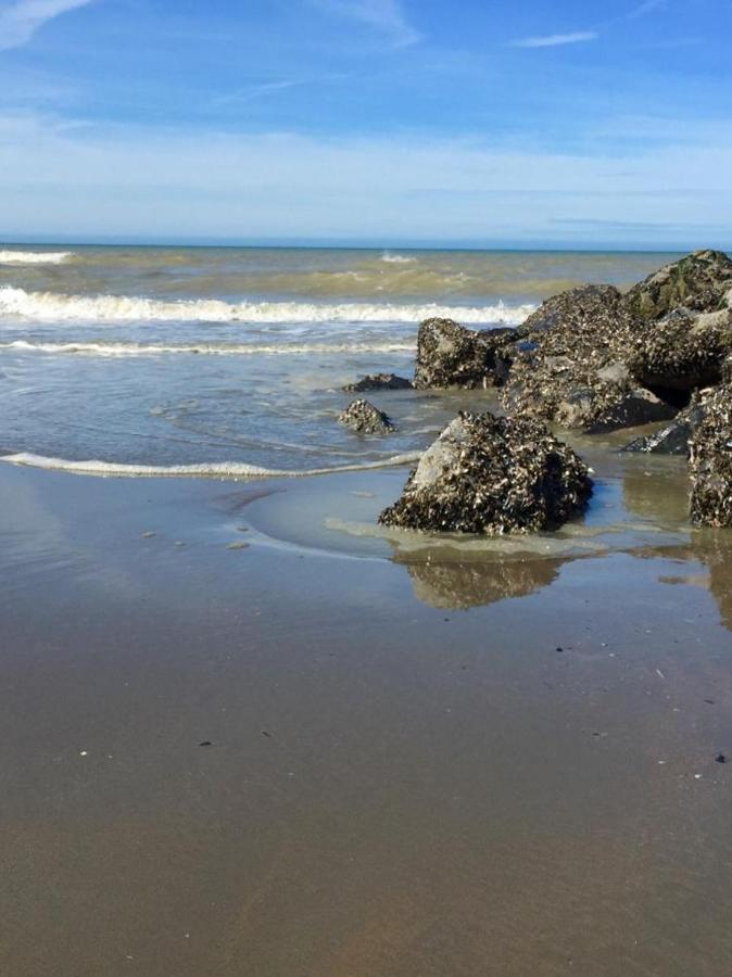 Beachstudio Westende With Sea View 米德尔克尔克 外观 照片
