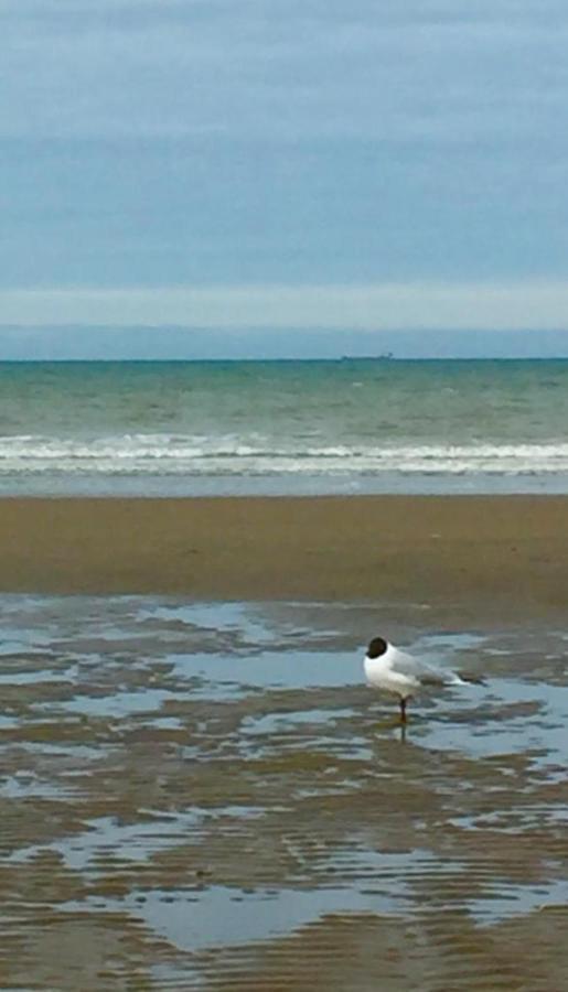 Beachstudio Westende With Sea View 米德尔克尔克 外观 照片