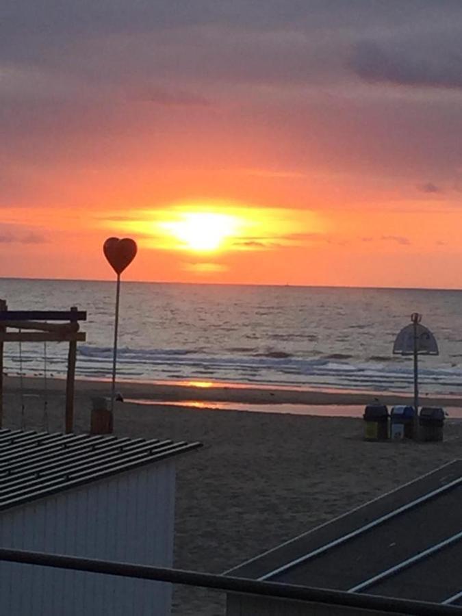 Beachstudio Westende With Sea View 米德尔克尔克 外观 照片
