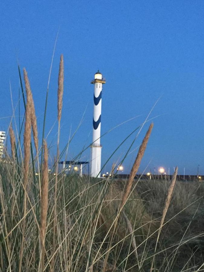 Beachstudio Westende With Sea View 米德尔克尔克 外观 照片