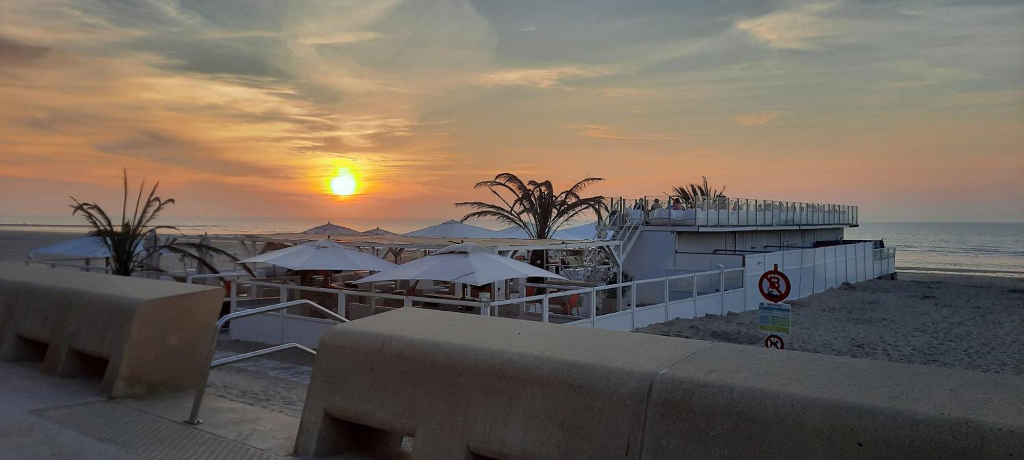 Beachstudio Westende With Sea View 米德尔克尔克 外观 照片