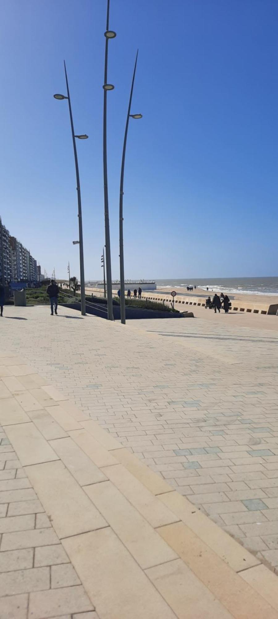 Beachstudio Westende With Sea View 米德尔克尔克 外观 照片